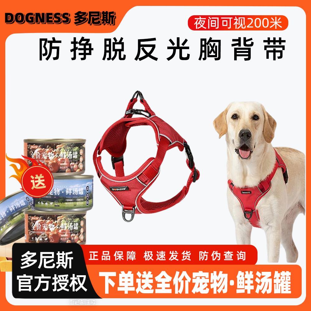 多尼斯狗背胸大中型犬栓遛狗