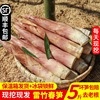 顺丰包邮2026建瓯农家现挖新鲜冬笋春笋野生带壳黄泥笋雷竹笋