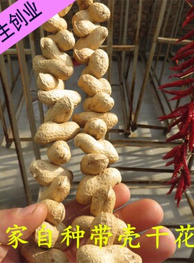花生串农作物装饰挂件丰收节道具