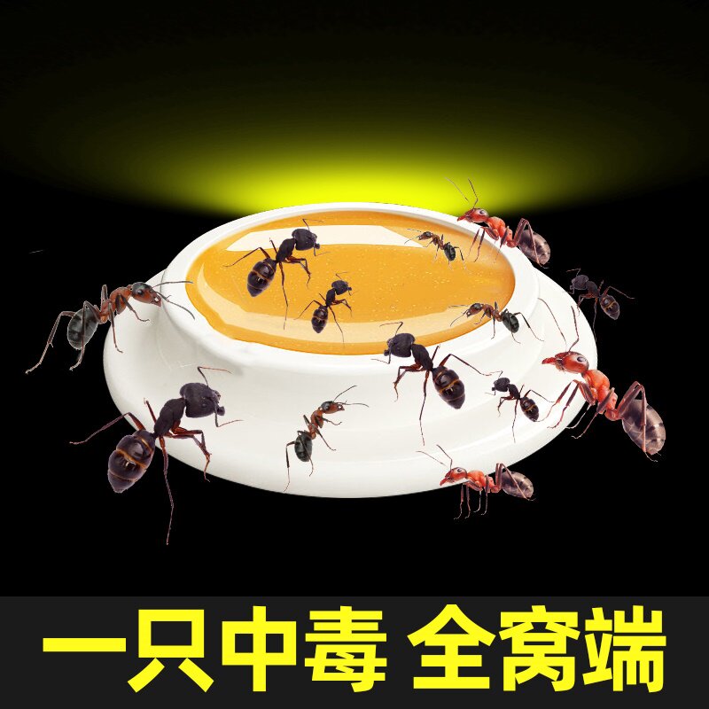 蚂蚁药室内家用全窝端去红蚂蚁神器灭除蚁药灭蚁饵剂药非无毒特效