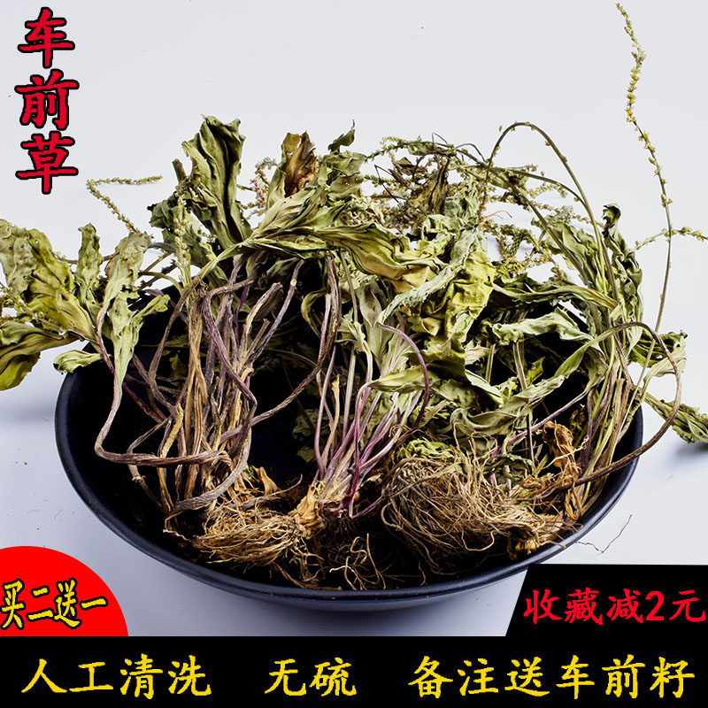 车前草 新鲜 野生 新货车前草茶车前草干蛤蟆草叶500g包邮食用|ruв категории традиционные питательный пища, гомологический продовольствия, медикаментов и продовольствия, съедобные продукты других наркотиков - от Buy2taobao.com для оказания профессиональной услуги покупки агента Taobao
