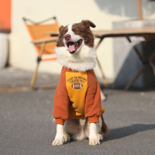 狗狗衣服大型犬秋冬保暖插肩袖卫衣金毛拉布拉多加厚纯棉边牧卫衣