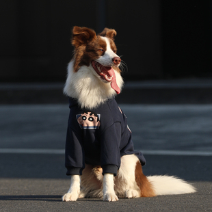 边牧衣服秋冬潮牌金毛拉布拉多防掉毛衣服网红狗狗衣服大型犬卫衣