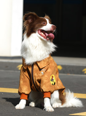 狗狗衣服春秋款潮牌金毛拉布拉多边牧大型犬皮衣拉链外套大狗衣服