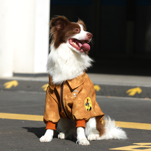 狗狗衣服秋冬款潮牌金毛拉布拉多边牧大型犬皮衣拉链外套大狗衣服
