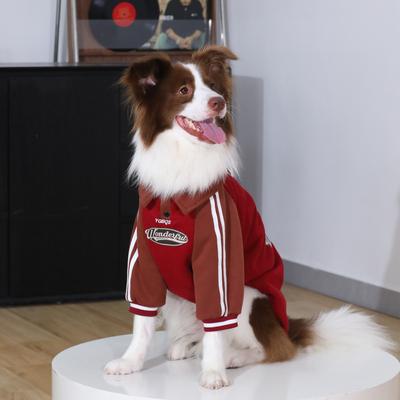 狗狗衣服大型犬秋冬金毛边牧防掉毛衣服拉布拉多潮牌纯棉保暖卫衣