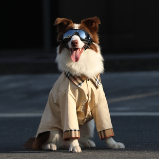 狗狗衣服春夏大型犬衬衫 金毛拉布拉多防掉毛衣服边牧杜宾帅气风衣