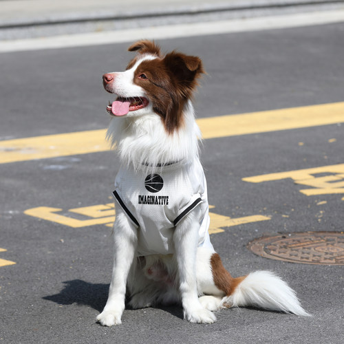 狗狗衣服夏季薄款大型犬防掉毛拉布拉多金毛边牧反光无袖透气背心