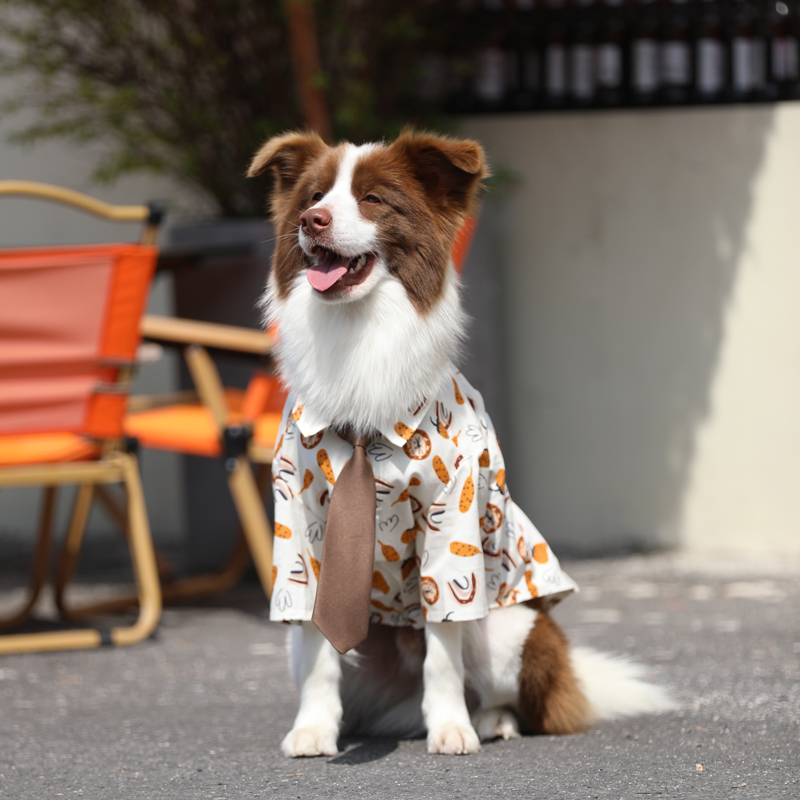 狗狗夏季薄款满印南瓜衬衫