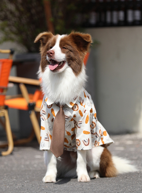 狗狗衣服夏季可爱边牧衬衫金毛拉布拉多杜宾大型犬防掉毛薄款衣服