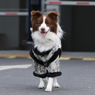 狗狗衣服大型犬秋冬保暖棉衣金毛拉布拉多边牧中国风保暖加厚外套