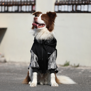 狗狗冲锋纯棉卫衣金毛拉布拉多边牧帅气狗狗衣服大型犬春秋款外套