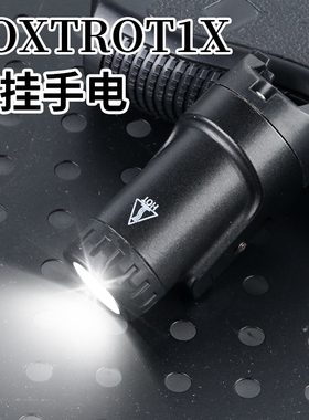 金属新款SIG Fortrot1X下挂强光爆闪战术手电筒20mm导轨 800流明