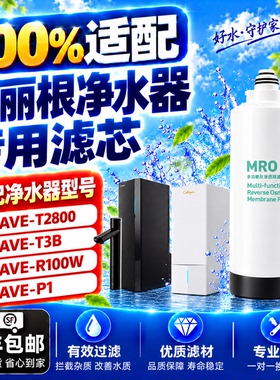 康丽根小黑龙AVE-T2800通用滤芯