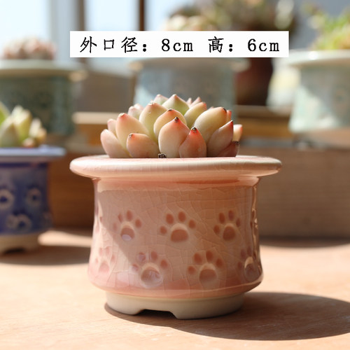 多肉花盆陶瓷创意个性帽檐印章清新透气冰裂可爱控养小号阳台花器
