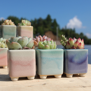 新款多肉花盆陶瓷方形控养拇指盆透气冰裂渐变色室内阳台绿植小盆