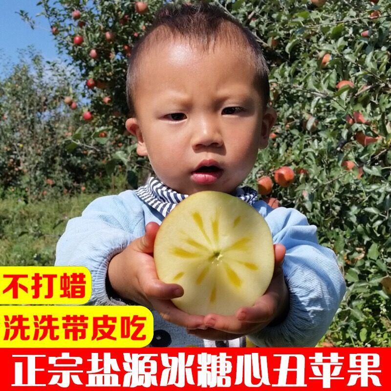 四川大凉山盐源冰糖心丑苹果红富士脆甜孕妇新鲜水果5/8斤净重