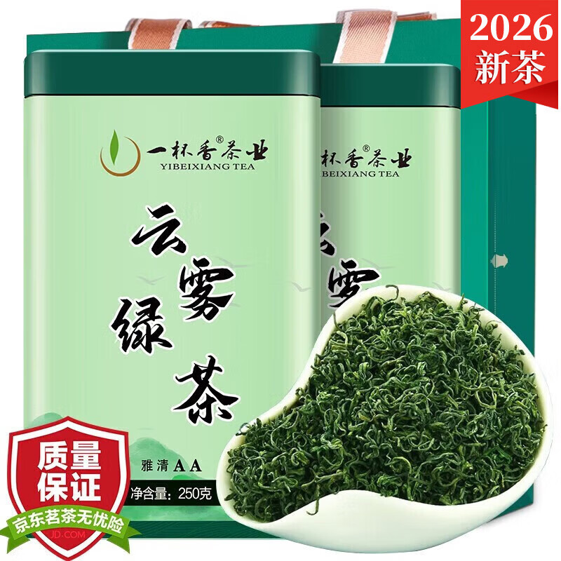 一杯香新茶日照毛尖耐泡送礼