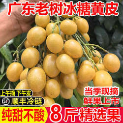 【顺丰速发】正宗广东鸡心黄皮果新鲜现摘孕妇果郁南无核冰糖黄皮