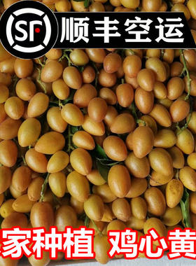 【顺丰次日达】鸡心黄皮果新鲜