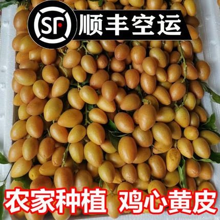 【现货顺丰空运】广东鸡心黄皮果郁南特产孕妇水果当季新鲜现摘