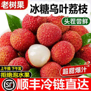 顺丰急速达广东老树纯甜冰糖荔枝