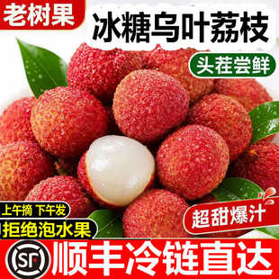 【顺丰冷链】广东岭南冰糖乌叶荔枝纯甜当季新鲜水果桂糯米味糍