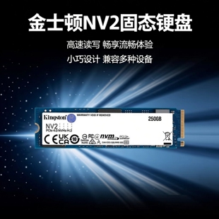 金士顿SSD固态硬盘NV2 250G500G1T台式笔记本 M2接口NVMe协议