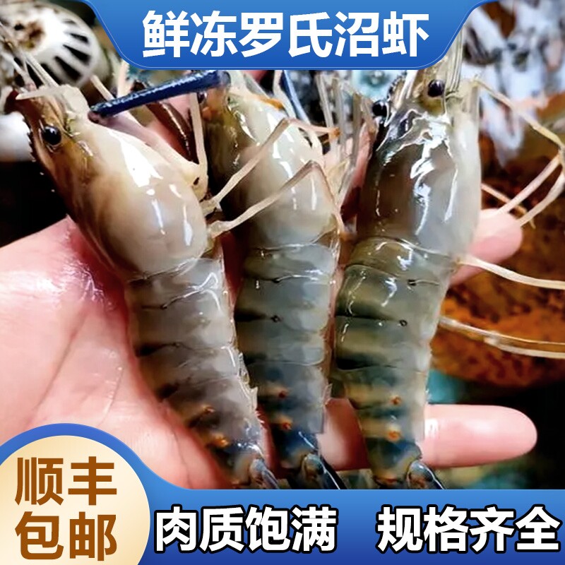 罗氏虾冰鲜速冻大头虾青虾淡水河虾罗氏沼虾烧烤商超自助批发价
