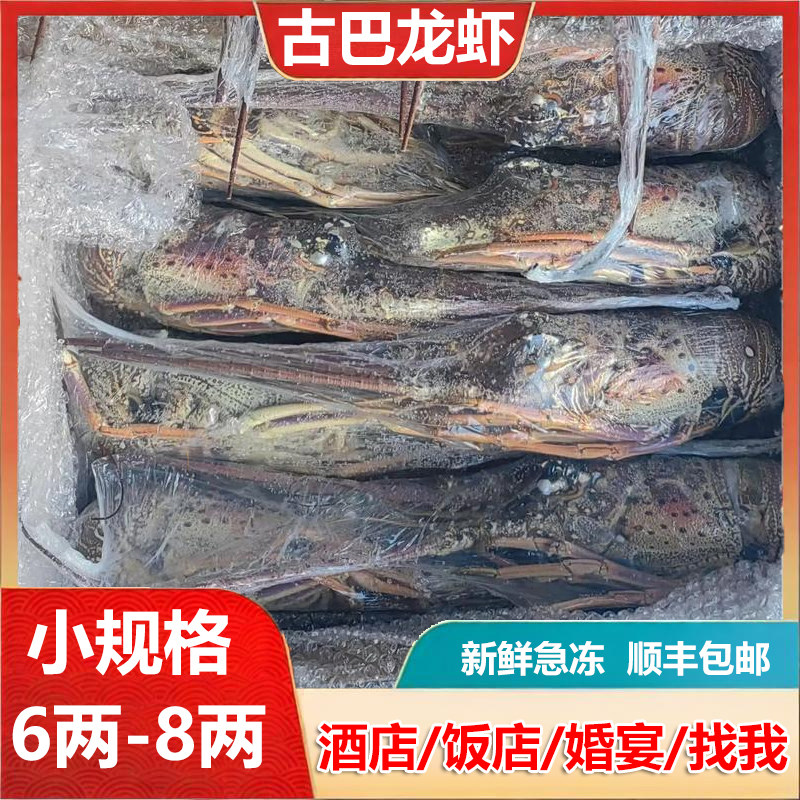 古巴龙虾新鲜活冻巴西大龙虾小青龙仔澳洲龙虾海鲜水产海捕船冻,水产肉类/新鲜蔬果/熟食,冻虾,淘宝优惠券,粉丝福利购,淘宝优惠卷