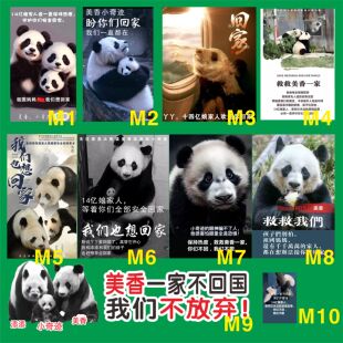 丫丫熊猫热点车贴网红个性关心爱护美香小奇迹回家汽车机车贴纸