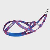 2024跨境爆款 狗狗户外雪橇胸背带哈士奇拉布拉多车载宠物牵引绳