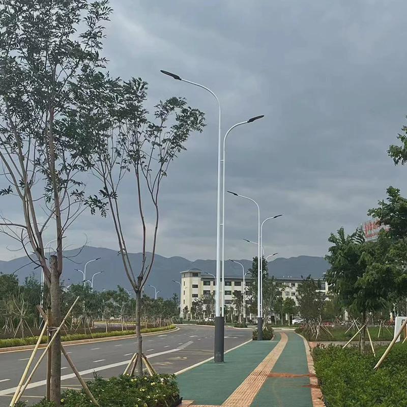 LED路灯杆子户外灯小区照明灯220V高干新农村照明LED市电路灯