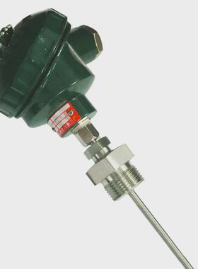 wzpk-336s型铂电阻pt100分度号k铠装铠装芯铂热电阻