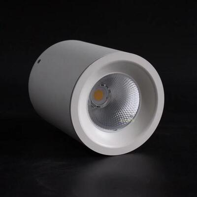 高铁地铁站室内外火车站筒灯30w40w50w60w80w100w120wled明装筒灯