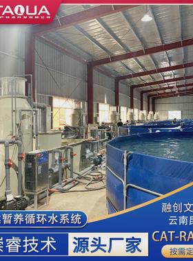 RAS养殖融创文旅城鱼类暂养项目循环水处理系统鱼类养殖设备