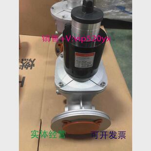 现货供应天燃气慢开电磁阀HKL65DN65口径法兰连接