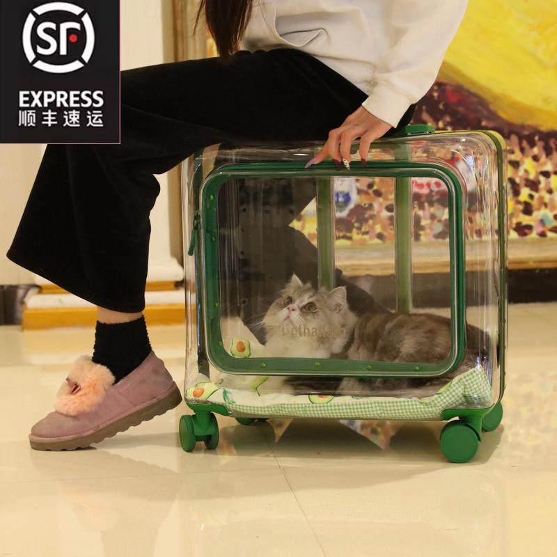 宠物拉杆箱外出便捷透明猫包狗狗手推车太空舱背包超大号行李箱,宠物/宠物食品及用品,背包/箱包,淘宝优惠券,粉丝福利购,淘宝优惠卷