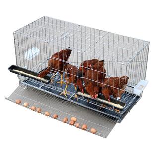 蛋鸡笼自动滚蛋鸡笼子母鸡笼家用养殖鸡笼折叠生蛋鸡笼可代发