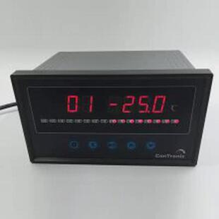 xsl8-t08a0智能巡检仪上海上仪表润