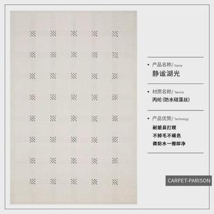 地毯客厅 防水防污地垫硅藻丝浮雕耐脏易打理轻奢高级感2024新款