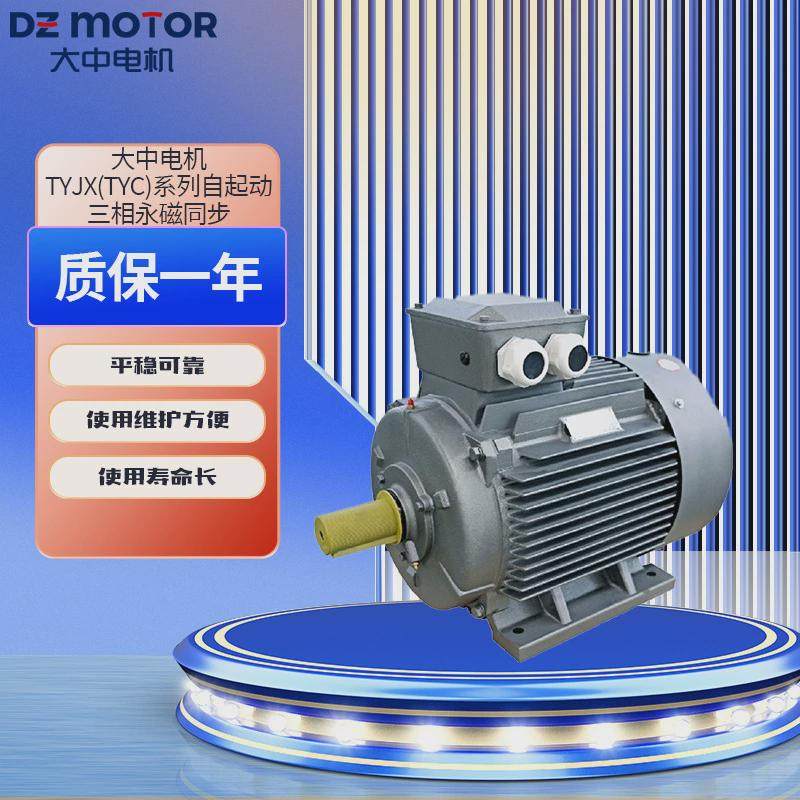 江苏大中电机马达tyc(tyjx)自起动三相永磁同步电动机一级能效