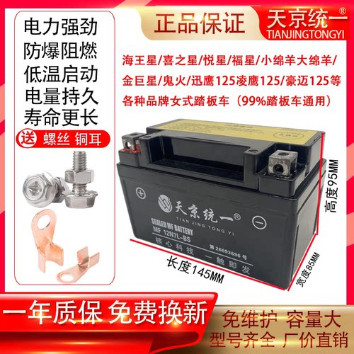 豪爵龙福星宇钻喜星悦星UU海王星UY豪迈女士125踏板摩托车电瓶12v