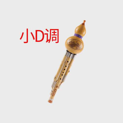 金丝楠竹葫芦丝c调降b调演学校型供应琴行奏初学者三音葫芦丝