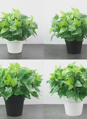 室内外人造绿植仿真绿萝叶盆栽假花塑料落地盆景隔断花槽装饰花卉