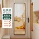 全身镜门后穿衣镜卧室家用挂门镜子贴墙自粘出租屋壁挂宿舍试衣镜