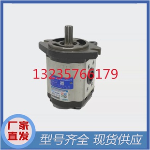 ALHL杭叉合力齿轮泵 AFHL 油泵 F432 合肥HCHC长源液压泵CBT
