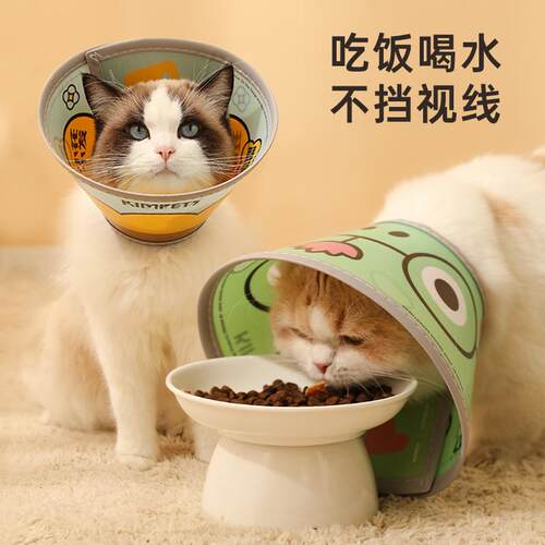 热销伊丽莎白圈猫绝育项圈英短舔防猫咪pu柔软脖圈颈圈头套狗爆品