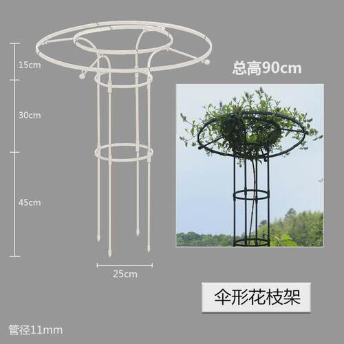 户外园艺伞形蘑菇爬藤架月季铁线莲攀藤玫瑰蔷薇花支架绿植支架杆