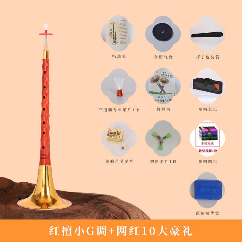 宏唢呐乐器全套凤鸣红檀艺红檀木初学者演奏专业d调喇叭大小